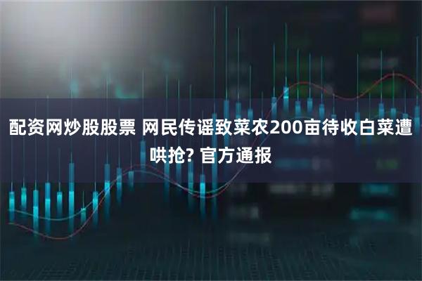 配资网炒股股票 网民传谣致菜农200亩待收白菜遭哄抢? 官方通报