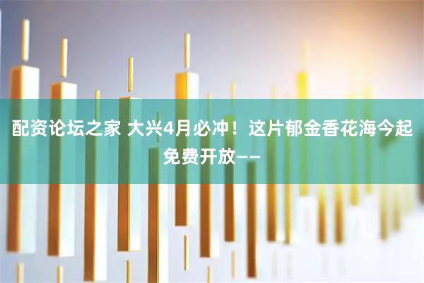 配资论坛之家 大兴4月必冲！这片郁金香花海今起免费开放——