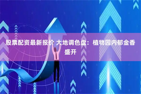 股票配资最新报价 大地调色盘：植物园内郁金香盛开