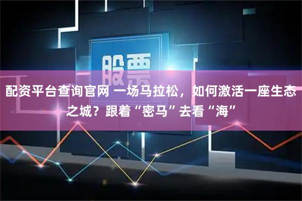 配资平台查询官网 一场马拉松，如何激活一座生态之城？跟着“密马”去看“海”